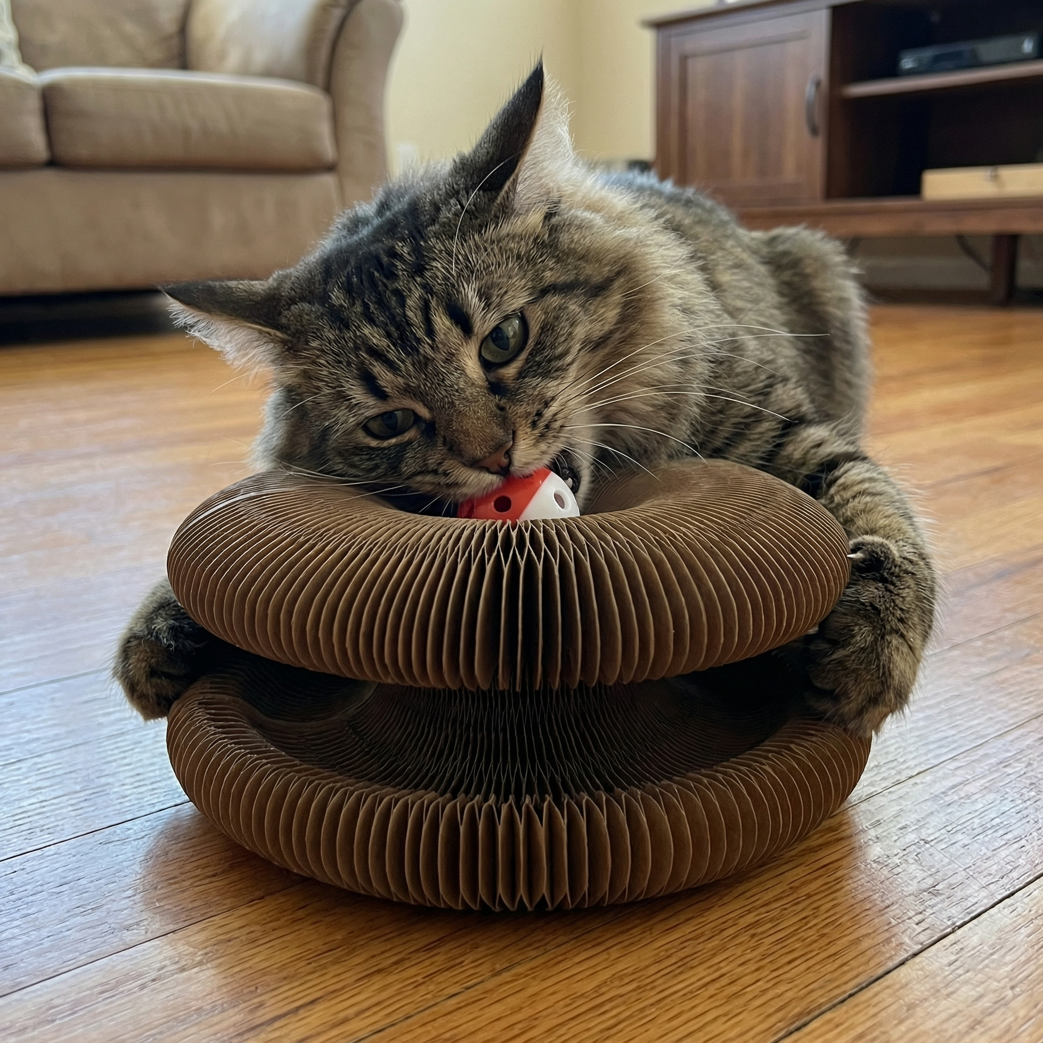 Kitty Kurlz™
