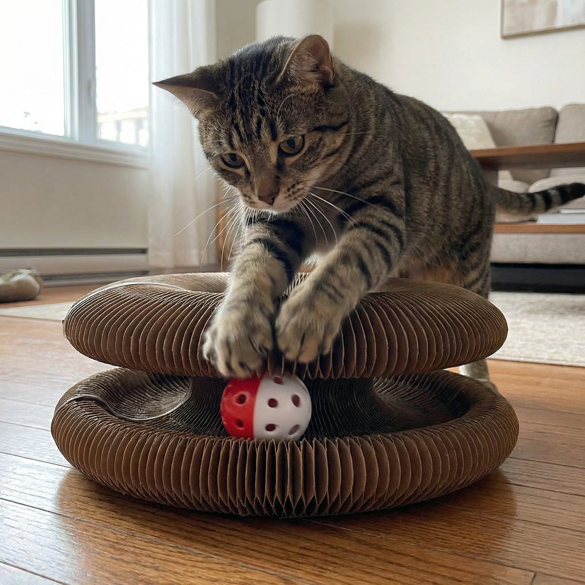Kitty Kurlz™