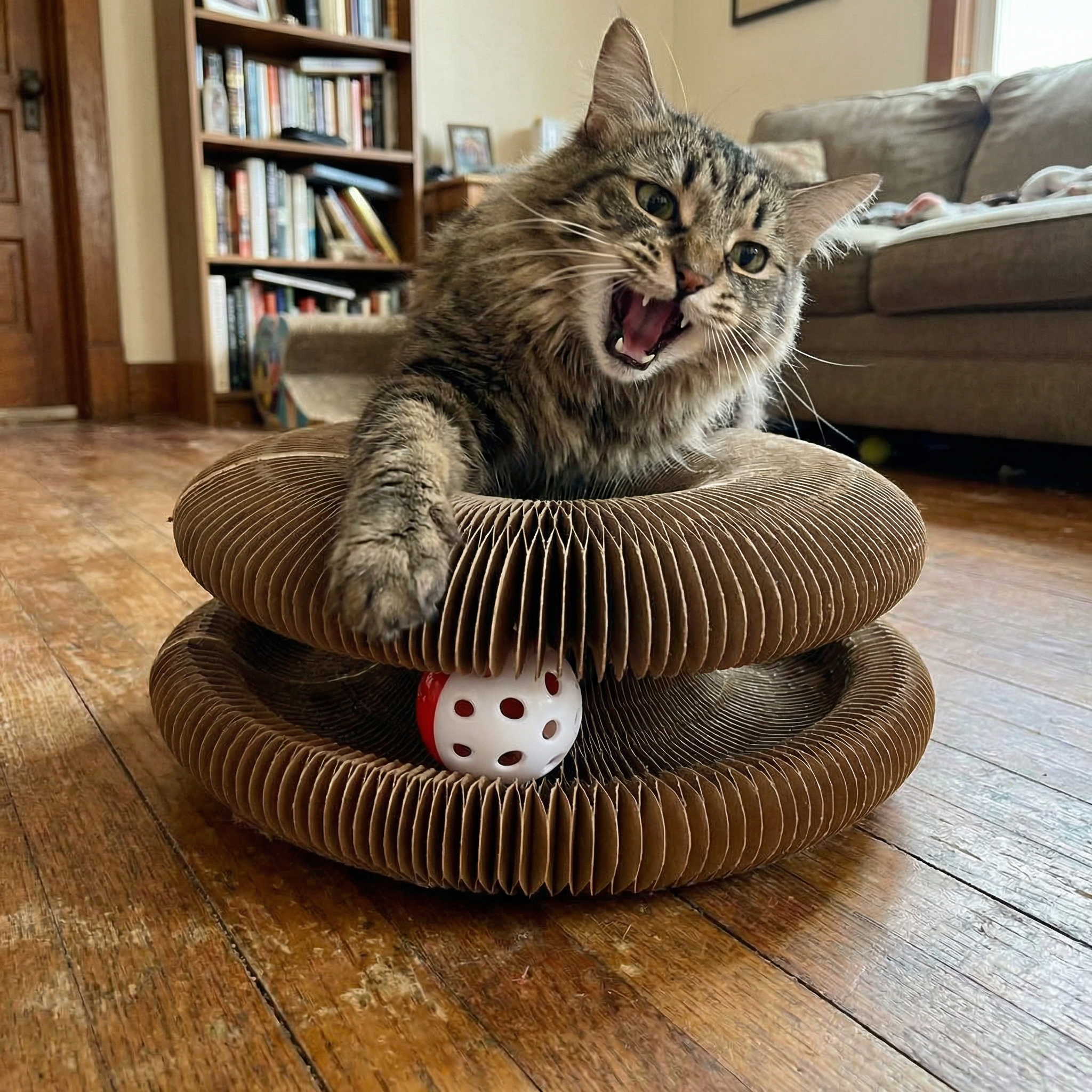 Kitty Kurlz™ [2 Kitty Kurlz + 2 Kurlz Balls]
