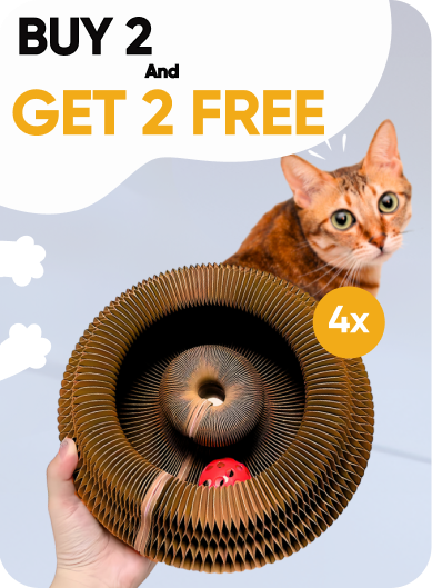 Kitty Kurlz™ [4 Kitty Kurlz + 4 Kurlz Balls]