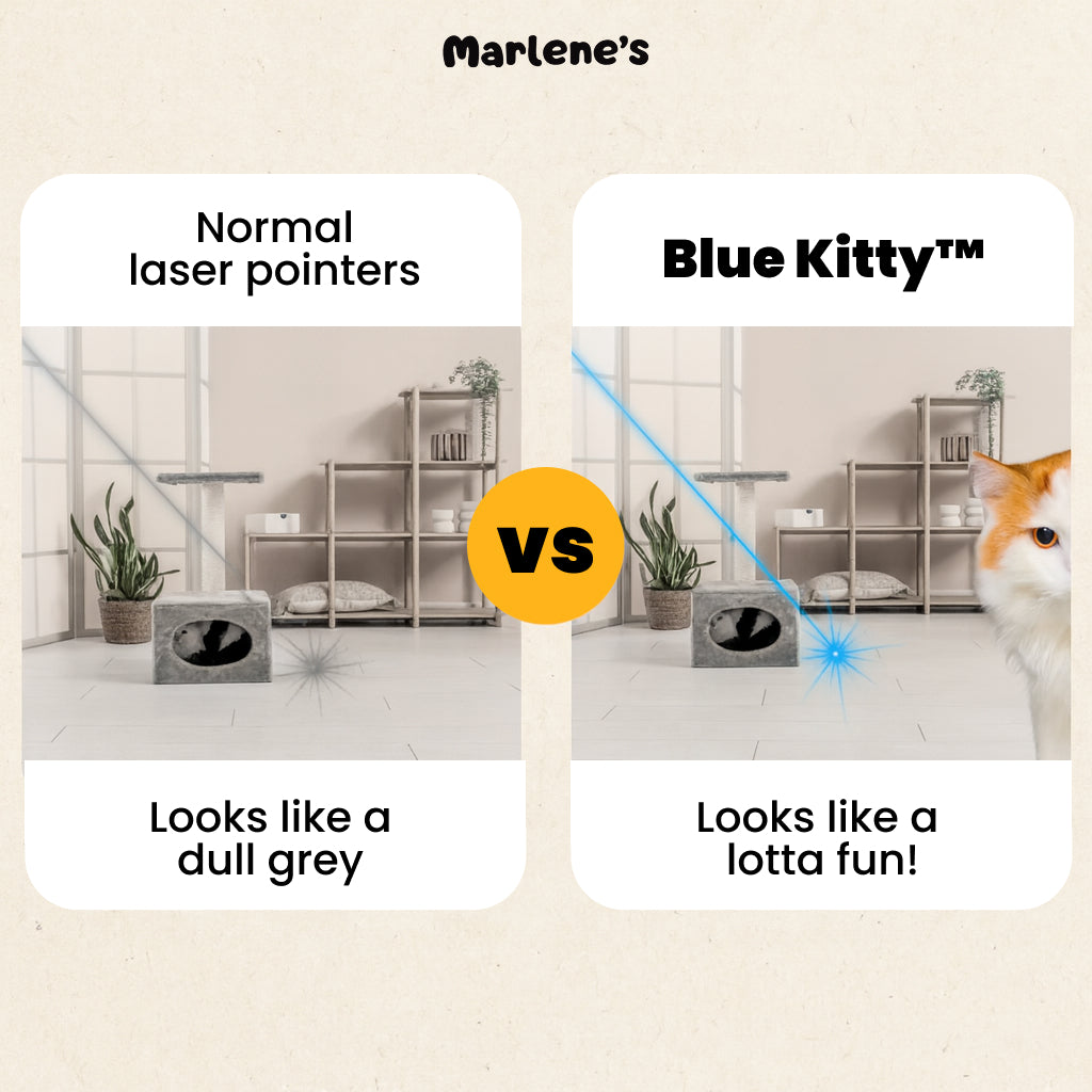 Blue Kitty™