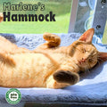 Marlene’s Signature Hammock™: [Buy 2]
