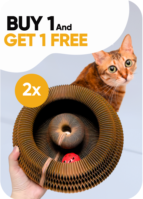 Kitty Kurlz™ [BUY 2 GET 2 FREE]