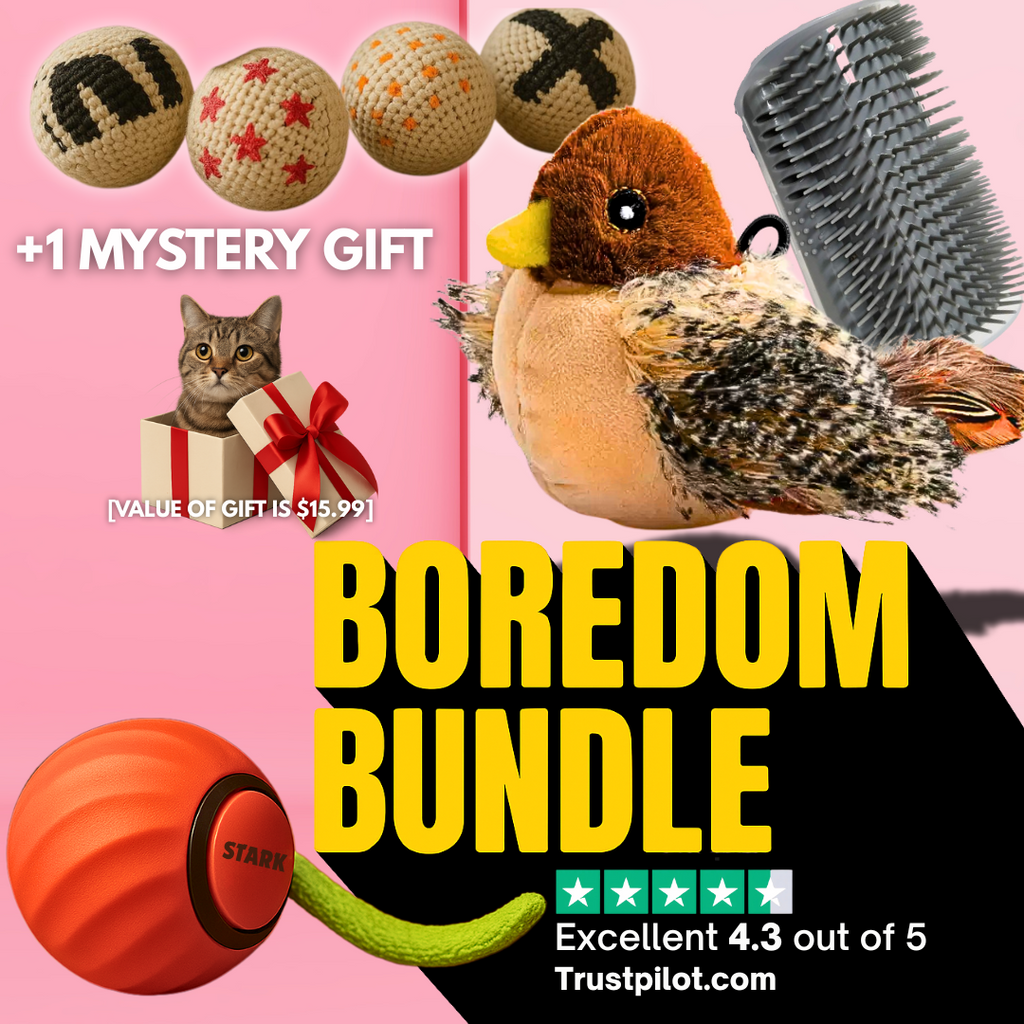 [June's Special Deal] Boredom Bundle